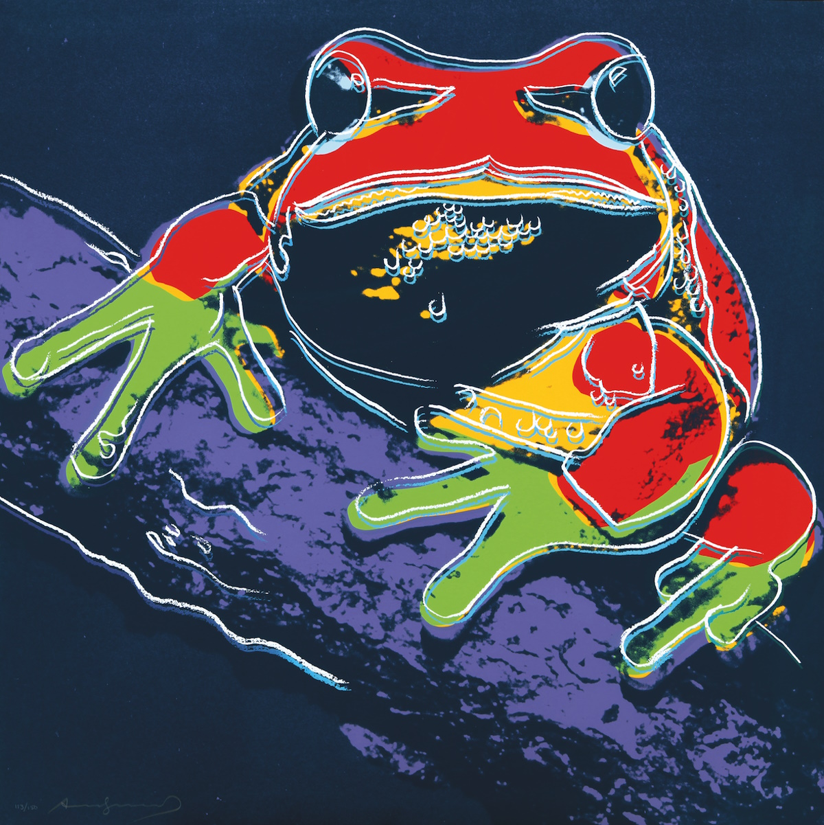 Andy Warhol, Endangered Species: Pine Barrens Tree Frog, 1983, serigrafia su carta Lenox Museum Board, 96,5x96,5 cm, Collezione privata, courtesy Zoya Gallery