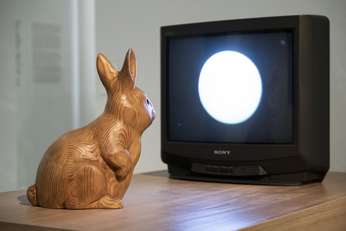 MAO Rabbit Inhabits the Moon